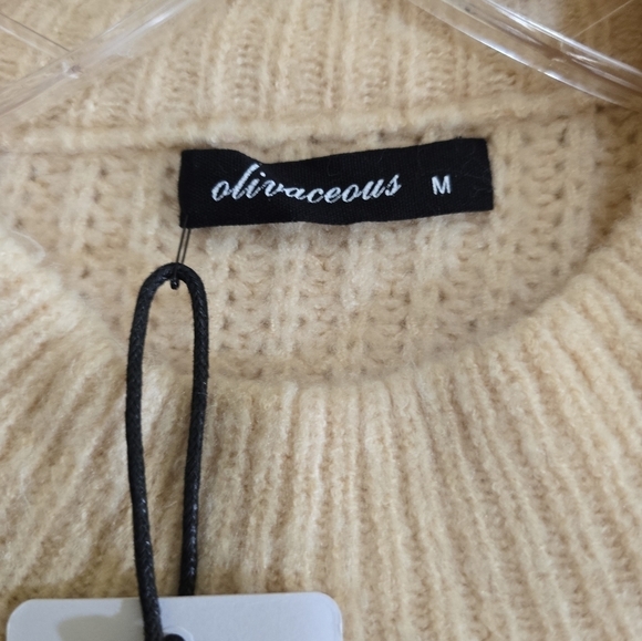 NWT Olivaceous Lattice Knit Sweater with Structured Shoulders Mock Neck Medium - Picture 5 of 6